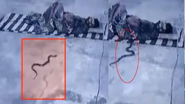 Viral Video: నిద్రిస్తున్న వ్యక్తి దుప్పట్లోకి దూరిన పాము.. ఆ తర్వాత ఊహించని  సీన్
