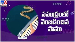 Viral Video: ఫోటో గ్రాఫర్‌పై దాడి..!! ఇంతకీ ఆ లిఫ్ట్‌లో ఏం జరిగింది..?? వీడియో