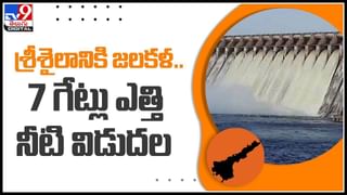 TTD Arch: తిరుమలలో తృటిలో తప్పిన పెను ప్రమాదం.. నడిరోడ్డుపై కుప్పకూలిన టీటీడీ ఆర్చి..