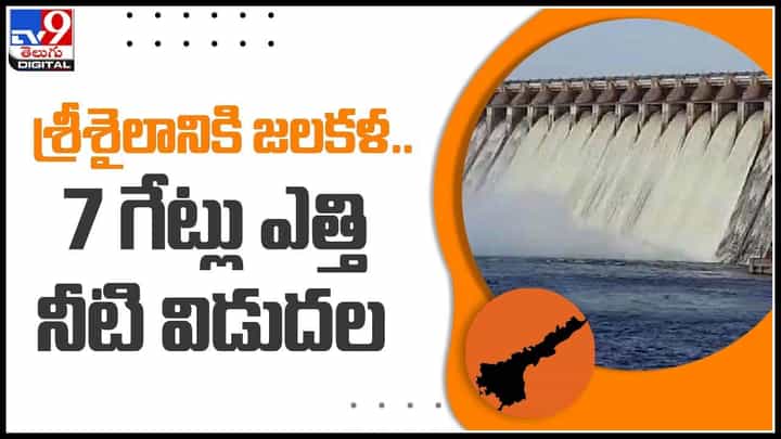 Srisailam Dam: శ్రీశైలానికి జలకళ.. నిండుకుండల్లా తెలుగు ప్రాజెక్టులు.. మరోసారి తెరుచుకున్న శ్రీశైలం గేట్లు(వీడియో) Srisailam Dam: శ్రీశైలానికి జలకళ.. నిండుకుండల్లా తెలుగు ప్రాజెక్టులు.. మరోసారి తెరుచుకున్న శ్రీశైలం గేట్లు(వీడియో)