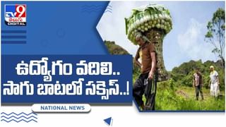 Viral Video: అనంతపురం జిల్లాలో రైతు పొలంలో కుప్పలు కుప్పలుగా పాములు ప్రత్యక్షం.. వీడియో