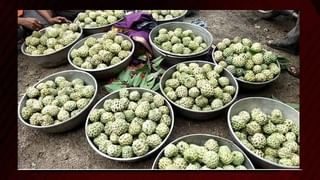 Prostrate Cancer: పురుషులలో సైలెంట్‌గా వ్యాపించే ప్రోస్ట్రేట్ క్యాన్సర్.. గమనించకపోతే పెను ప్రమాదం తప్పదు..