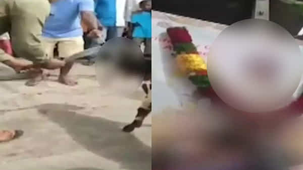 రెచ్చిపోయిన సూపర్ స్టార్ అభిమానులు.. హీరో పోస్టర్ ముందు మూగజీవిని బలిచ్చి ఆపై..