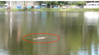 West Bengal By Poll:  బెంగాల్‌లో ముగిసిన ఉప ఎన్నిక పోలింగ్‌..  సీఎం మమత బరిలో ఉన్న భవానిపూర్‌లో ఉద్రిక్తత!