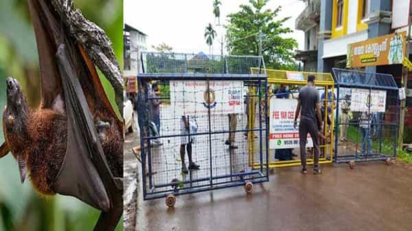 Nipah Virus: కేరళలో నిఫా వైరస్.. అప్రమత్తమైన తమిళనాడు సర్కార్.. సరిహద్దు జిల్లాల్లో హై అలర్ట్..