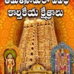 తమిళనాడులో వివిధ పేర్లతో పూజలను అందుకుంటున్న కార్తికేయ క్షేత్రాలు