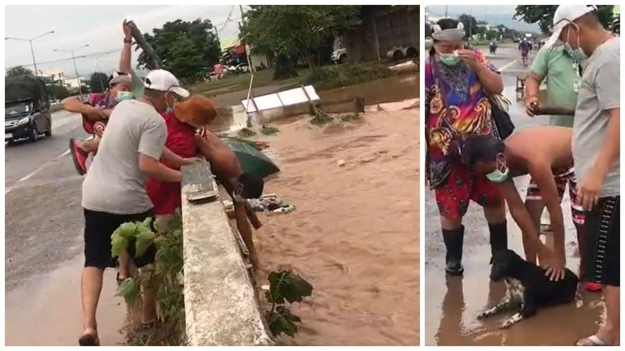 Viral Video: వరదల్లో చిక్కుకుపోయిన వీధి కుక్క.. ప్రాణాలకు తెగించి కాపాడిన రియల్ హీరోలు