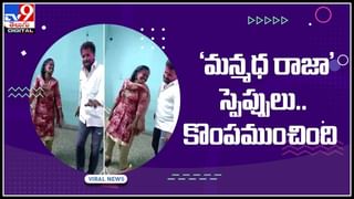 శివాలయంలో నాగుపాము హల్ చల్.. ఏం చేసిందో తెలిస్తే షాక్ అవుతారు..(వీడియో): Snake Viral Video.