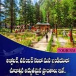 అక్టోబర్, నవంబర్ నెలలో మన ఇండియాలో చూడాల్సిన అద్భుతమైన