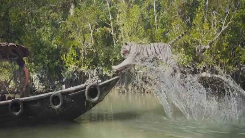 Tiger vs Man: ఒకే ఒక్కడు.. 20 నిమిషాలపాటు పులితో పోరాడాడు.. ఆ తరువాత ఏం జరిగిందో తెలిస్తే షాక్ అవుతారు..