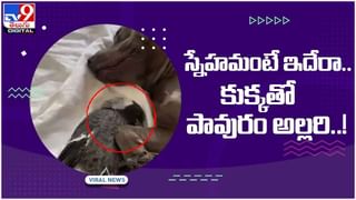 Lottery: అదృష్టం తలుపుతట్టింది.. రాత్రికి రాత్రే కోటీశ్వరుడైన ఆటో డ్రైవర్‌.. ట్విస్ట్ ఏమిటంటే..?