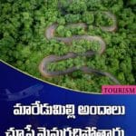 ఆంధ్రప్రదేశ్‏లోని మారేడుమిల్లి అందాలను చూస్తే మైమరచిపోతారు..
