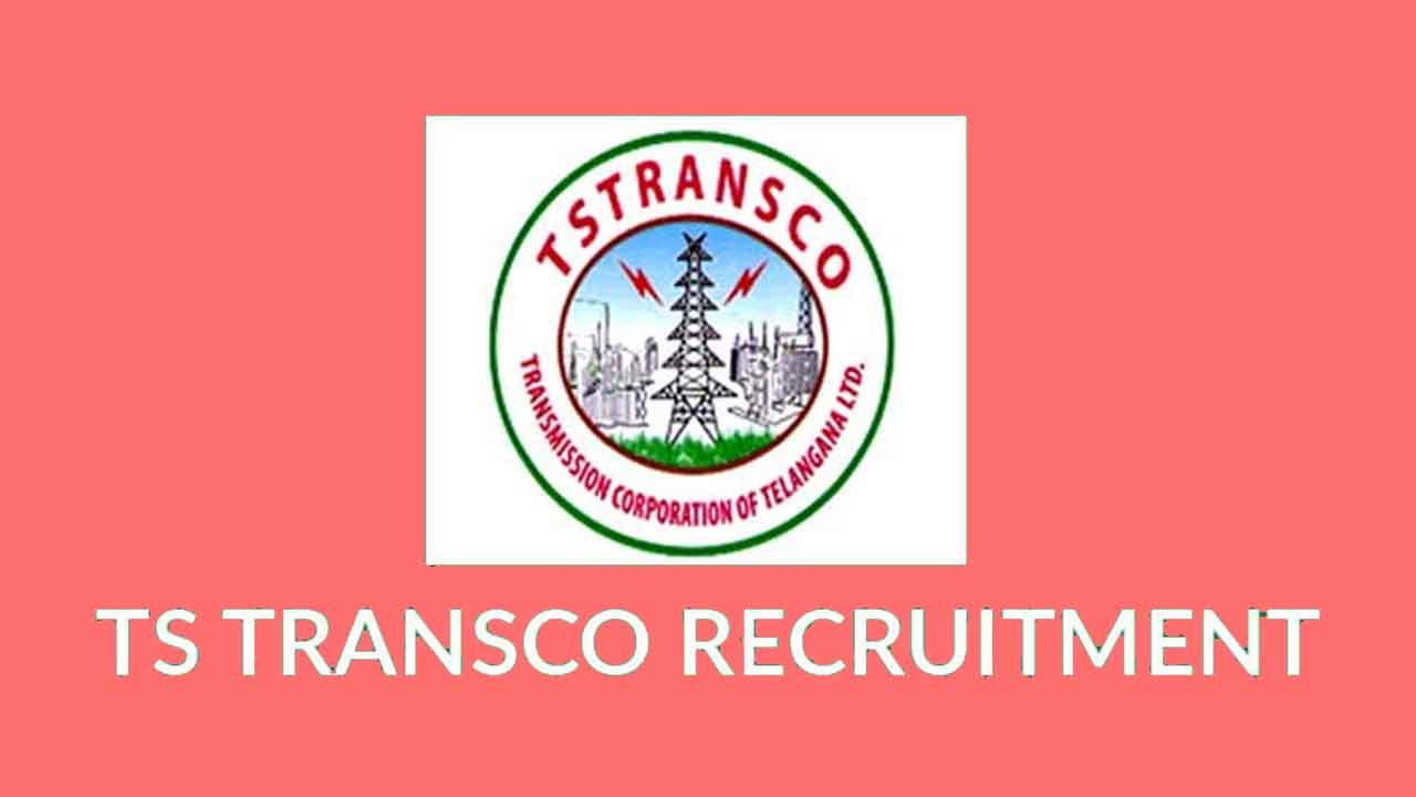 TS Transco Jobs: అక్టోబర్ 4న జూనియర్‌ లైన్‌మెన్‌ల పరీక్ష.. ఎంసెట్‌ రెండో దశ కౌన్సెలింగ్‌ ఎప్పుండంటే..