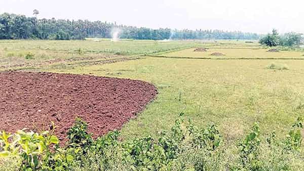 Anantapur District: రాత్రిపూట పొలాలవైపు నుంచి వింత శబ్ధాలు.. భయంతో వెళ్లి చూసిన స్థానికులు.. షాక్
