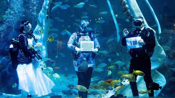 Underwater Wedding: అడ్వెంచర్ సెంటర్లో నీటిలో పెళ్లి చేసుకుని ఒక్కటైన జంట.. వీడియో వైరల్..