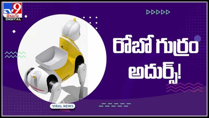 Unicorn Robot Video: రోబో గుర్రం అదుర్స్..! వైరల్ అవుతున్న చిట్టి రోబో వీడియో.. Unicorn Robot Video: రోబో గుర్రం అదుర్స్..! వైరల్ అవుతున్న చిట్టి రోబో వీడియో..