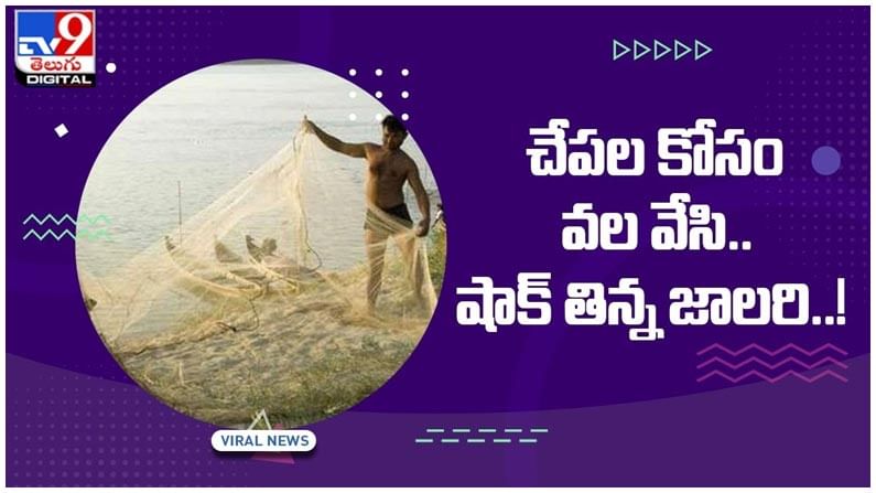 Viral Video: మత్స్యకారుల వలలో వింత జీవి..!! వలను వదిలి పరుగులు తీసిన