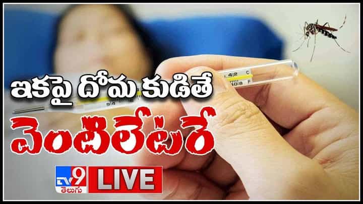New Veriyant Mosquito Bite: ఇకపై దోమ కుడితే వెంటిలేటరే... పలు రాష్ట్రాల్లో న్యూ వేరియంట్ డేంజర్ బెల్స్..(లైవ్ వీడియో) New Veriyant Mosquito Bite: ఇకపై దోమ కుడితే వెంటిలేటరే... పలు రాష్ట్రాల్లో న్యూ వేరియంట్ డేంజర్ బెల్స్..(లైవ్ వీడియో)