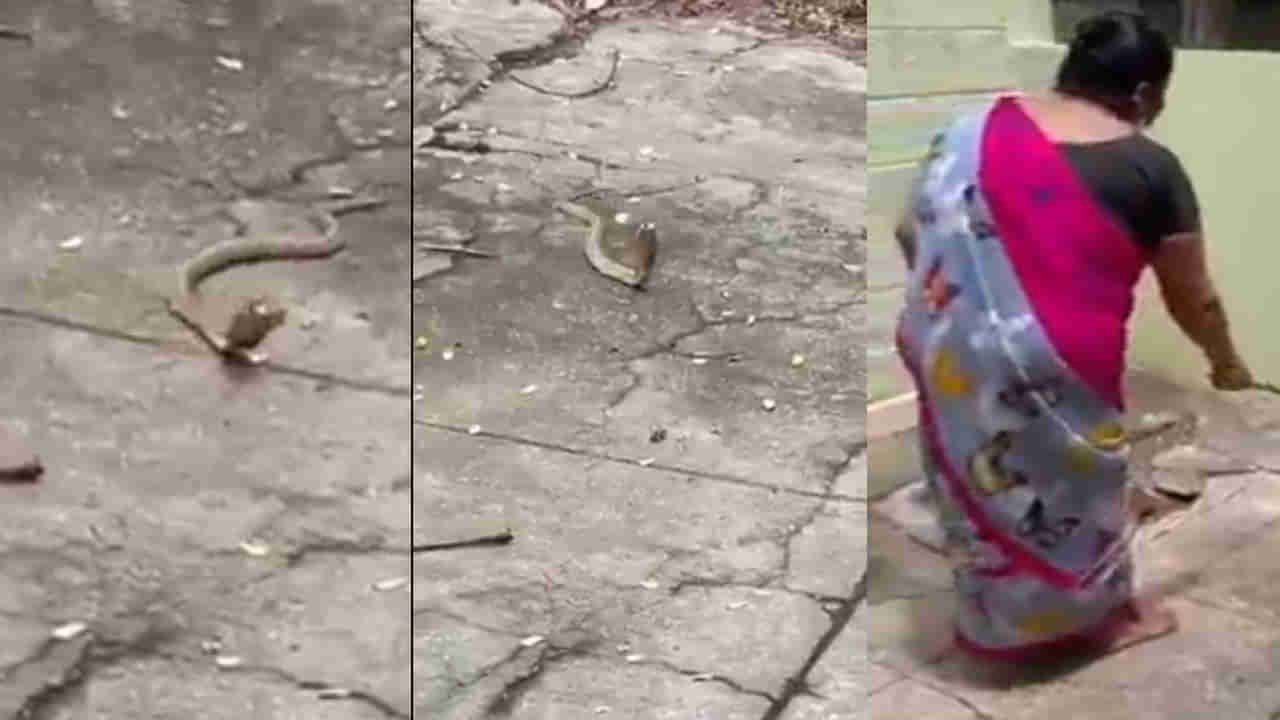 Viral Video: ఇంట్లోకి వచ్చిన నాగుపాము.. గృహిణి చేసిన పనికి ఫిదా అవుతోన్న నెటిజన్లు.