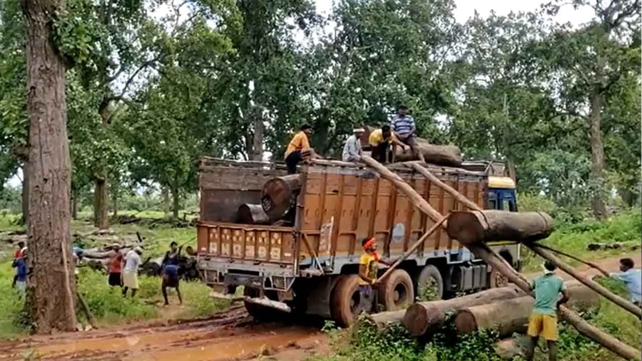 Viral Video: కండ బలం కంటే బుద్ధి బలమే గొప్పది.. ఈ వీడియో చూస్తే మీరు కూడా ఒప్పుకోవాల్సిందే..