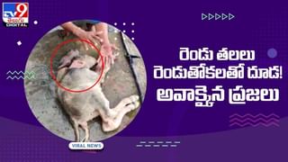 Viral Video: కోవిడ్‌తో మరణించిన తండ్రికి సిలికాన్‌ విగ్రహం తయారీ.. వీడియో