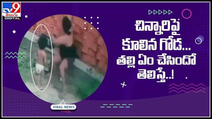 Wall collapsed Video: చిన్నారిపై కూలిన గోడ... తల్లి ఏం చేసిందో తెలిస్తే షాక్..!(వైరల్ వీడియో) Wall collapsed Video: చిన్నారిపై కూలిన గోడ... తల్లి ఏం చేసిందో తెలిస్తే షాక్..!(వైరల్ వీడియో)
