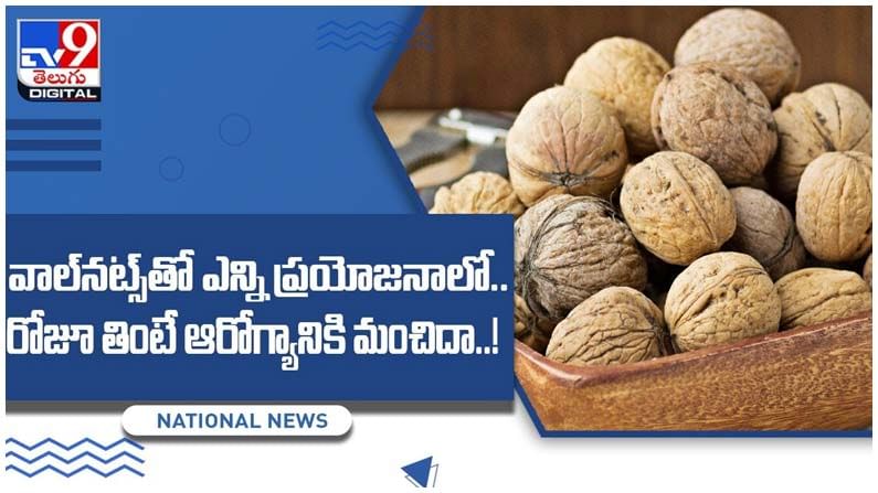 wallnuts: రోజూ అరకప్పు వాల్‌నట్స్‌ తీసుకుంటే గుండె జబ్బులను జయించినట్లే.. వీడియో