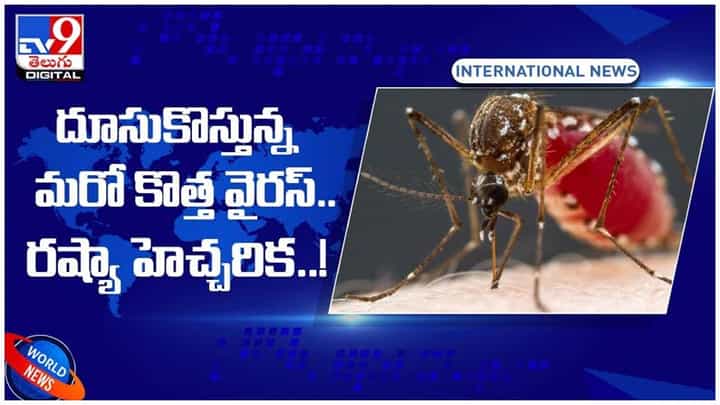 West Nile Virus: దూసుకొస్తున్న మరో కొత్త వైరస్..!! దోమ కాటు ద్వారా మానవుల్లోకి వ్యాప్తి.. రష్యా హెచ్చరిక.. వీడియో West Nile Virus: దూసుకొస్తున్న మరో కొత్త వైరస్..!! దోమ కాటు ద్వారా మానవుల్లోకి వ్యాప్తి.. రష్యా హెచ్చరిక.. వీడియో