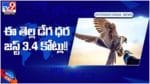 సౌదీ అరేబియాలో డేగల వేలం.. వేటాడే పక్షులకు మంచి గిరాకీ.. ఈ తెల్ల డేగ ధర తెలిస్తే షాక్ అవ్వాల్సిందే.. వీడియో