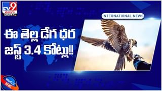 Earthquake: భారీ భూకంపం.. చిగురుటాకుల్లా వణికిన భవనాలు.. వీడియో