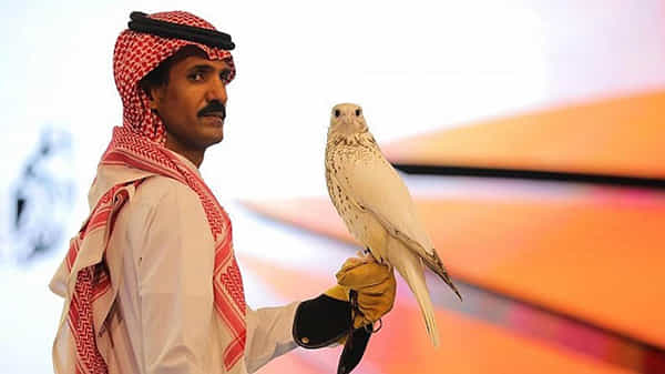 White Gyrfalcon: స్టేటస్ సింబల్ కోసం డేగను కొన్న సౌదీ షేక్.. దాని ధర ఎంతో తెలిస్తే షాకే..