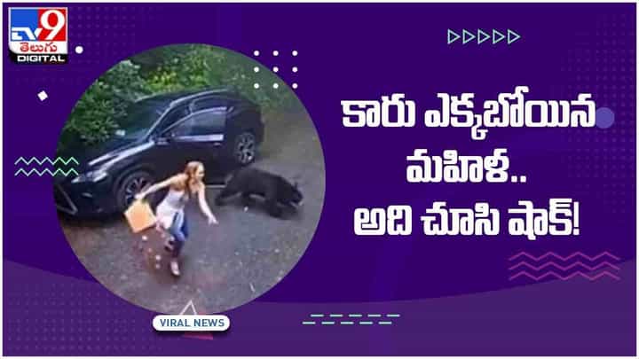 Viral Video: కారు ఎక్కబోయిన మహిళ.. ఒక్కసారిగా భయంతో పరుగులు.. అసలు ఏమైందంటే..?? వీడియో Viral Video: కారు ఎక్కబోయిన మహిళ.. ఒక్కసారిగా భయంతో పరుగులు.. అసలు ఏమైందంటే..?? వీడియో