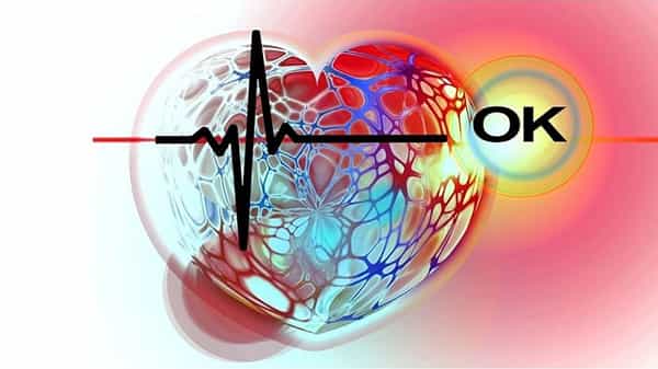 World Heart Day 2021: ఆరోగ్యమైన గుండె కోసం 5 పండ్లు..! వైద్యుడి అవసరమే ఉండదు.. తెలుసుకోండి..