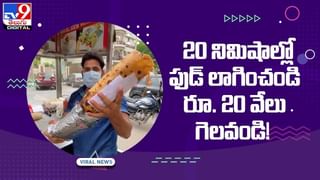 Viral Video: పెద్దపల్లి జిల్లాలో మత్స్యకారుడి వలకు చిక్కిన వింత చేప.. చూసేందుకు క్యూ కట్టిన జనాలు.. వీడియో