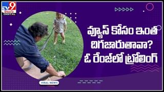 King Cobra drinking video: గ్లాస్‌లో నీళ్లు తాగుతోన్న కింగ్ కోబ్రా..! అదిరే వీడియో మీరూ చూసేయ్యాల్సిందే..!