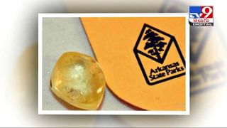 Viral Video: వామ్మో..180 బోగీలతో 2.06 కిలోమీటర్ల పొడవుతో రైలు.. వీడియో చూస్తే షాకే..