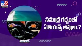 Whatsapp New Feature: వాట్సాప్ యూజర్లకు మరింత సౌలభ్యం కోసం నయా ఫీచర్లు..  వీడియో