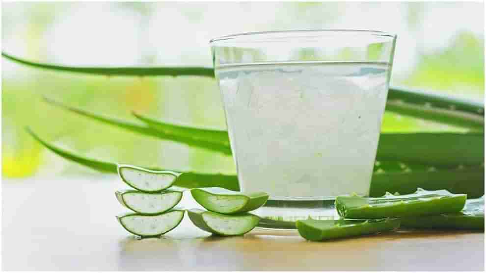 Aloevera Sharbat: పరగడుపున అలోవెరా షర్బత్‌.. బరువు తగ్గడానికి చక్కటి పరిష్కారం..