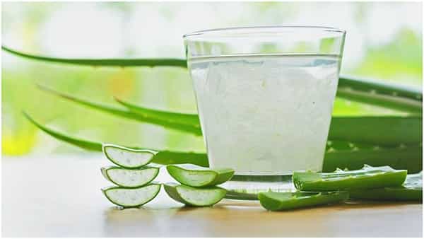 Aloevera Sharbat: పరగడుపున అలోవెరా షర్బత్.. బరువు తగ్గడానికి చక్కటి పరిష్కారం..