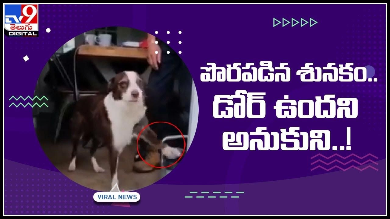 Dog Viral Video: పొరపడిన శునకం.. డోర్ ఉంది అనుకోని ఇలా చేసిందేంటి.. ఆనంద్ మహీంద్రా షేర్ చేసిన వైరల్ వీడియో..
