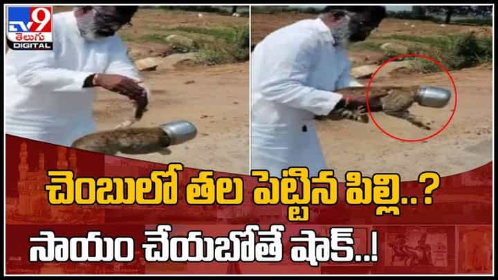 Animal Viral Video: చెంబులో తల పెట్టిన పిల్లి..? సాయం చేయబోతే షాక్..! వైరల్ అవుతున్న వీడియో... Animal Viral Video: చెంబులో తల పెట్టిన పిల్లి..? సాయం చేయబోతే షాక్..! వైరల్ అవుతున్న వీడియో...