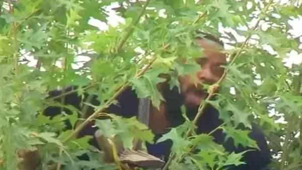 Man Climbs Tree: అరెస్ట్ చేయడానికి వస్తే చుక్కలు చూపించాడు.. మ్యాటరేంటో తెలిస్తే పడి పడి నవ్వుతారు..