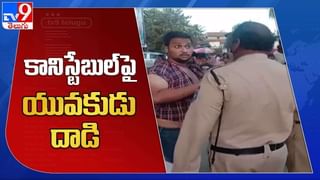 Anantapuram: అనంతపురం జిల్లాలో చిరుత పులుల హల్‌చల్.. భయాందోళనలో ప్రజలు..