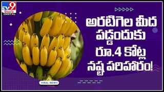 Car runs on wine Video: వైన్‌తో నడిచే బ్రిటన్‌ ప్రిన్స్‌ కారు.. స్వయంగా అతని మాటల్లోనే.. మీరు వినండి..(వైరల్ వీడియో)