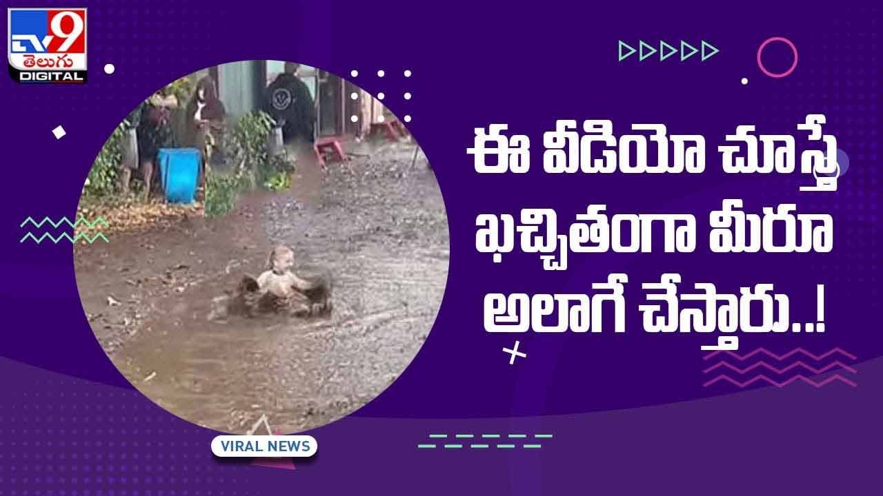 Viral Video: ఈ వీడియో చూస్తే ఖచ్చితంగా మీరూ అలాగే చేస్తారు.. వీడియో