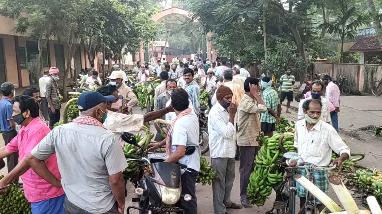 Konaseema: కొనసీమలో కొత్త కళ..ఆ రైతులకు ముందే వచ్చిన పండగ