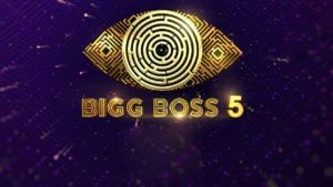 Bigg Boss 5 Telugu: ఈవారం హౌస్ నుంచి ఎలిమినేట్ అయ్యి బయటకు వచ్చేది ఈ కంటెస్టెంటేనా..?