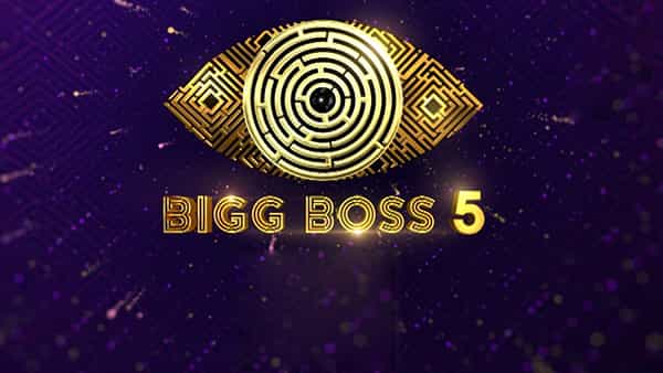 Bigg Boss 5 Telugu: బిగ్ బాస్ హౌస్లో బెస్ట్ కపుల్గా ఆ ఇద్దరు కంటెస్టెంట్స్.. వాళ్ళు ఎవరంటే..