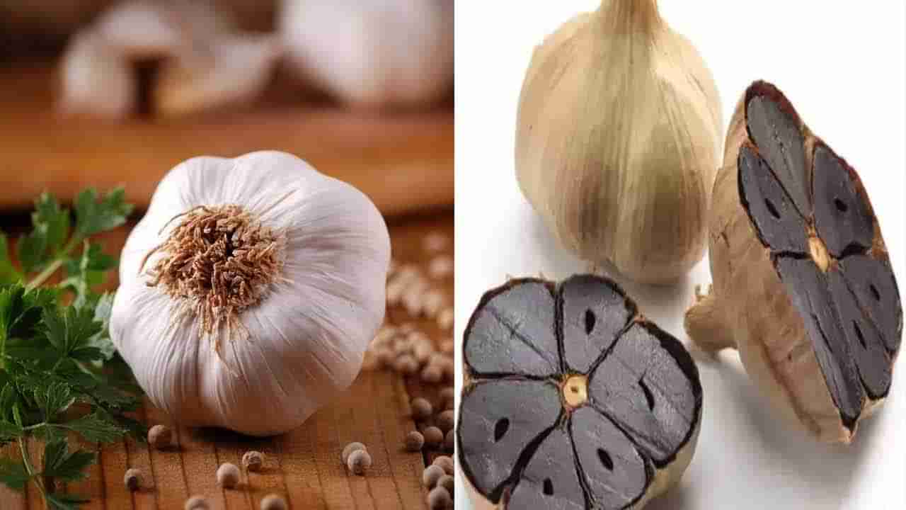 Black Garlic Benefits: నల్ల వెల్లుల్లితో దివ్యమైన లాభాలు.. అవేంటో తెలిస్తే అస్సలు వదలిపెట్టరు..