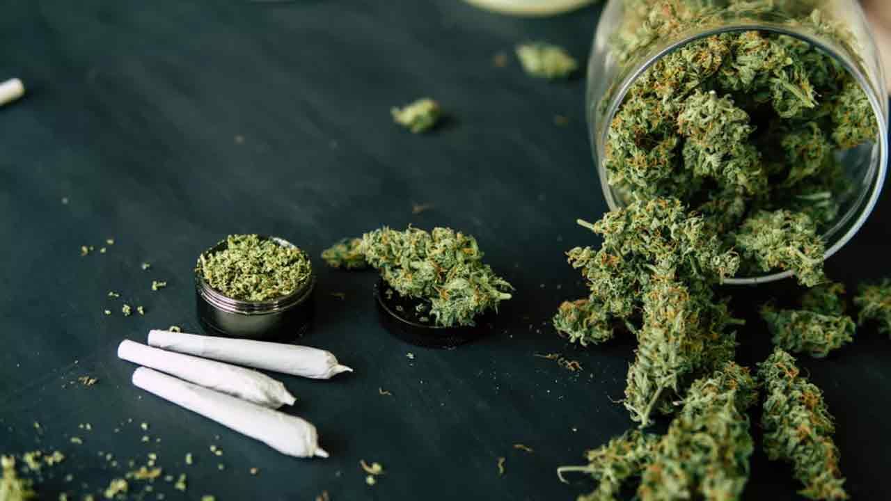 Cannabis: హైదరాబాద్‌లో గంజాయి కోసం స్టూడెంట్స్ వెంపర్లాట... ఒక్క రాత్రే 100 మంది అదుపులోకి